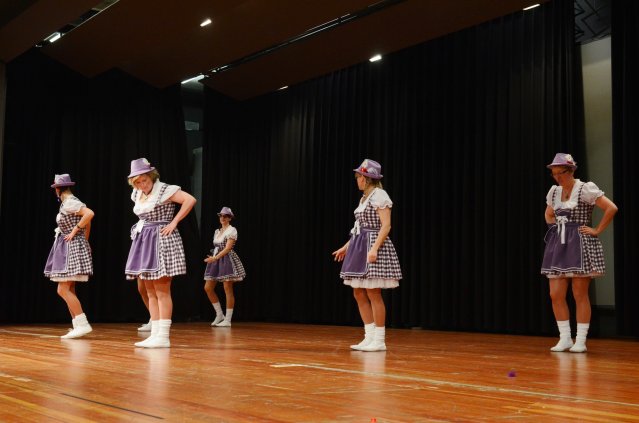 umzug simmern_140301_vb_330